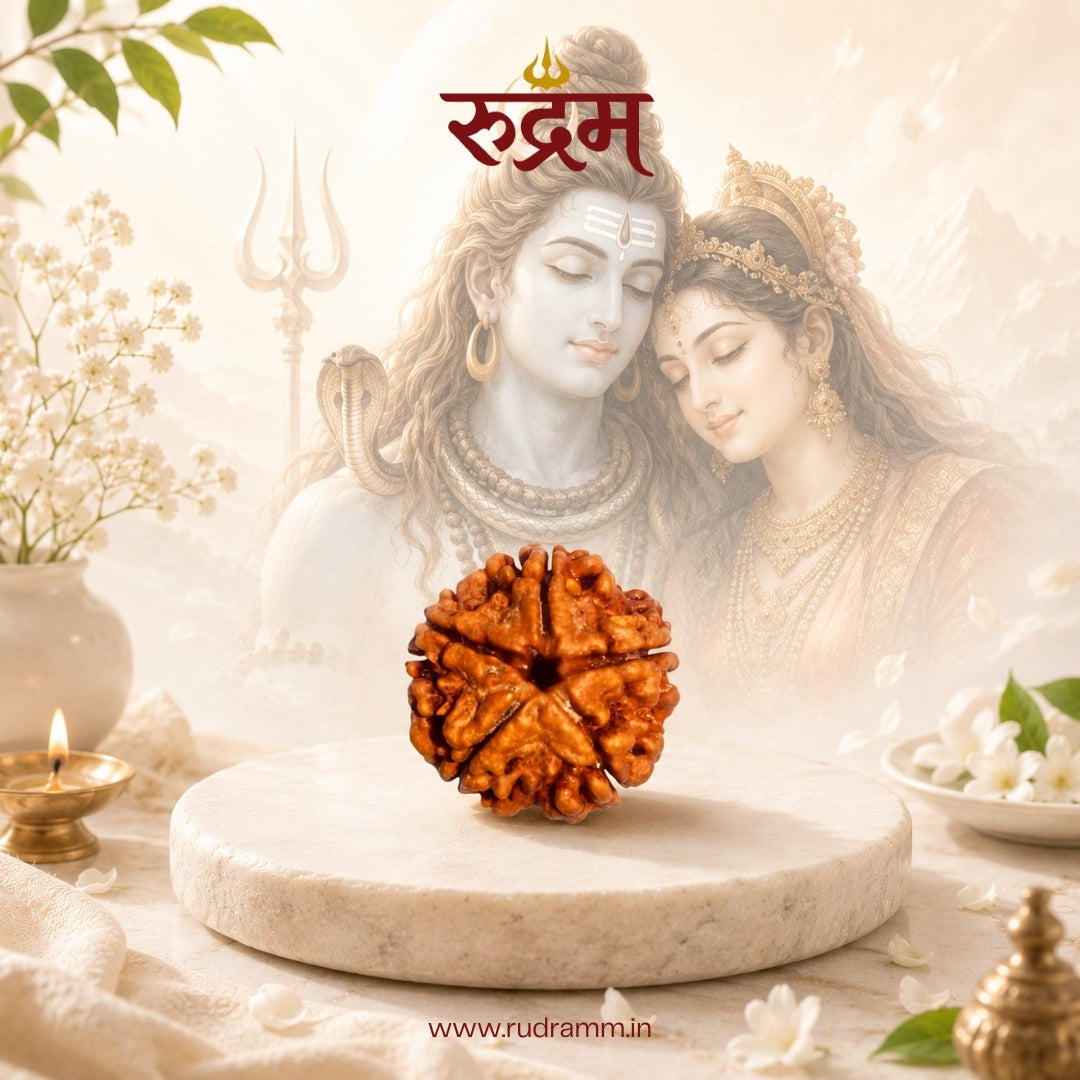 Original 5 Mukhi Nepali Rudraksha with Lab Report