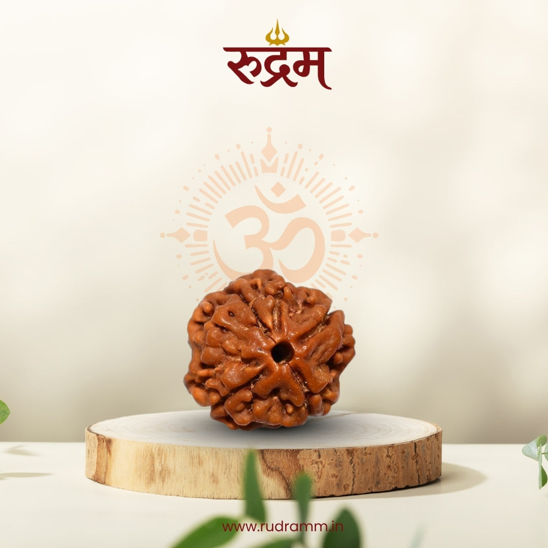 Original 4 Mukhi Nepali Rudraksha with Lab Report
