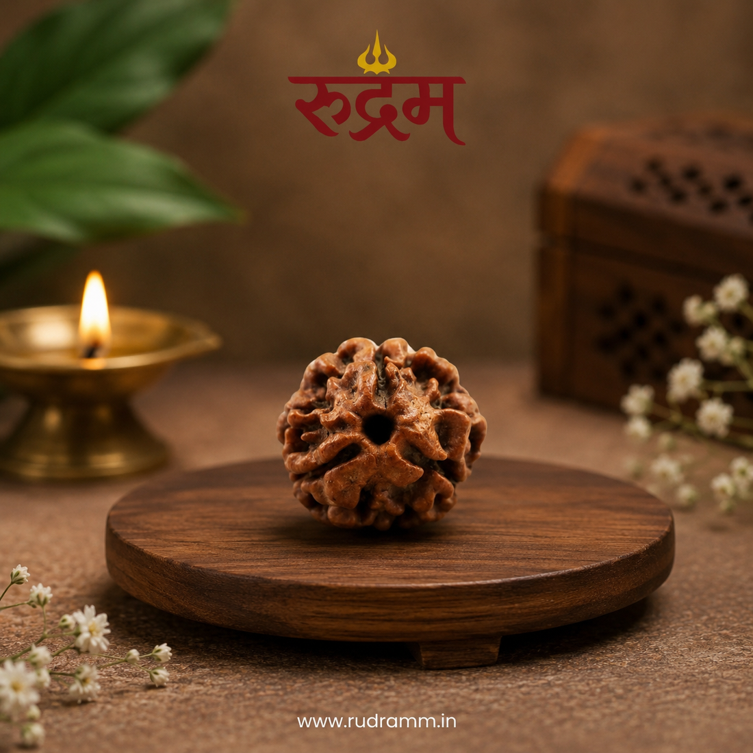 Original 3 Mukhi Nepali Rudraksha with Lab Report