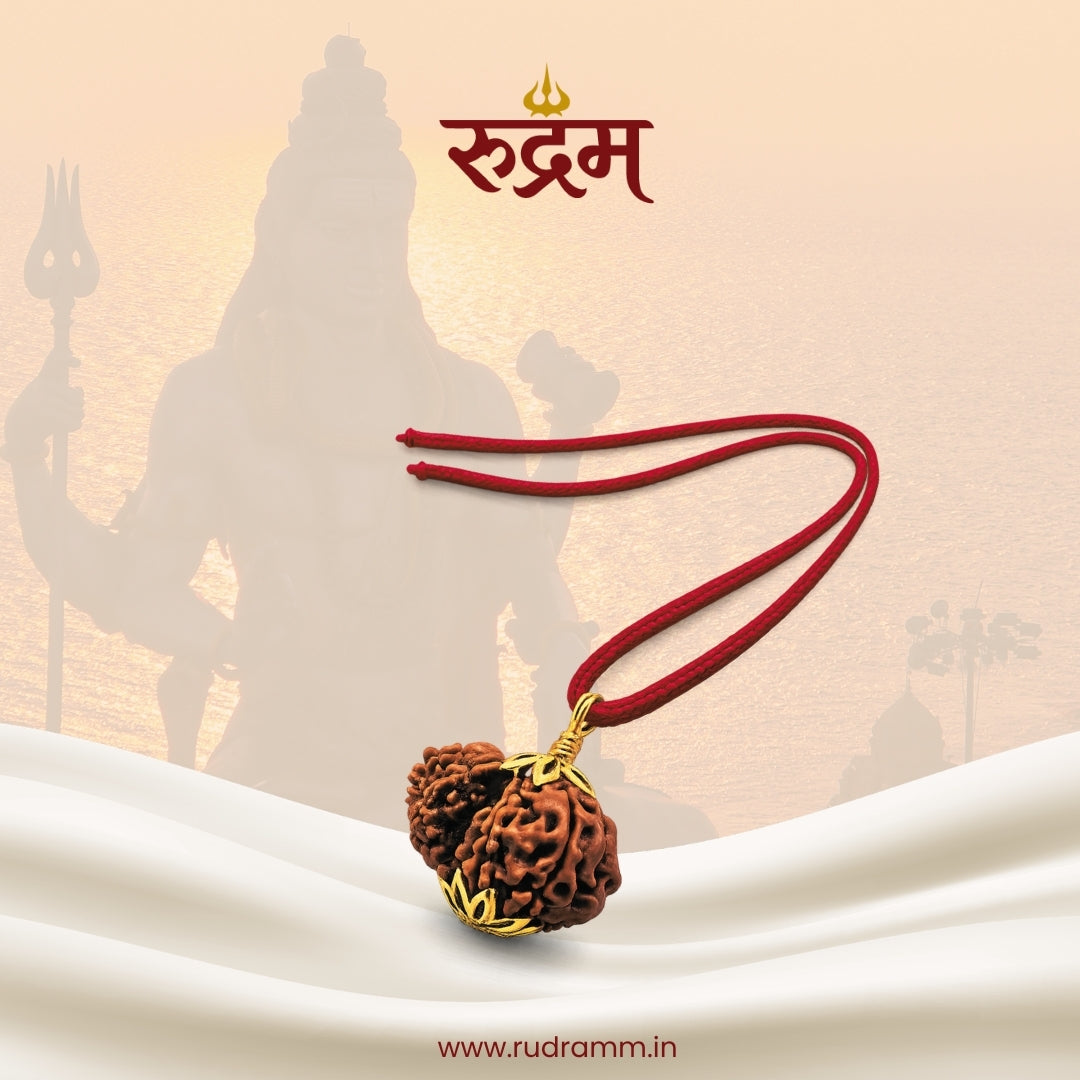 Nepali Garbh Gauri Rudraksha